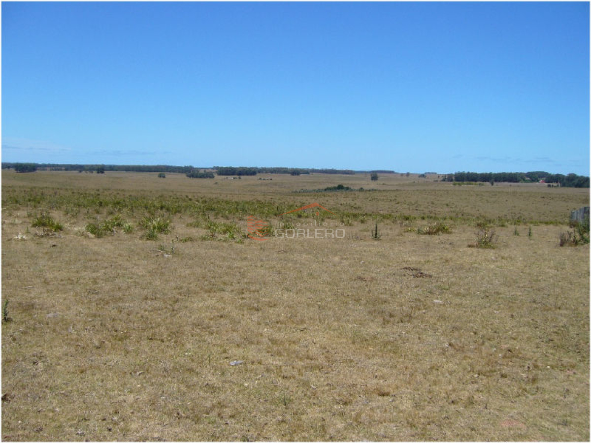 Campo en Uruguay, José Ignacio - GoPunta - Portal Inmobiliario de Punta del Este - Maldonado
