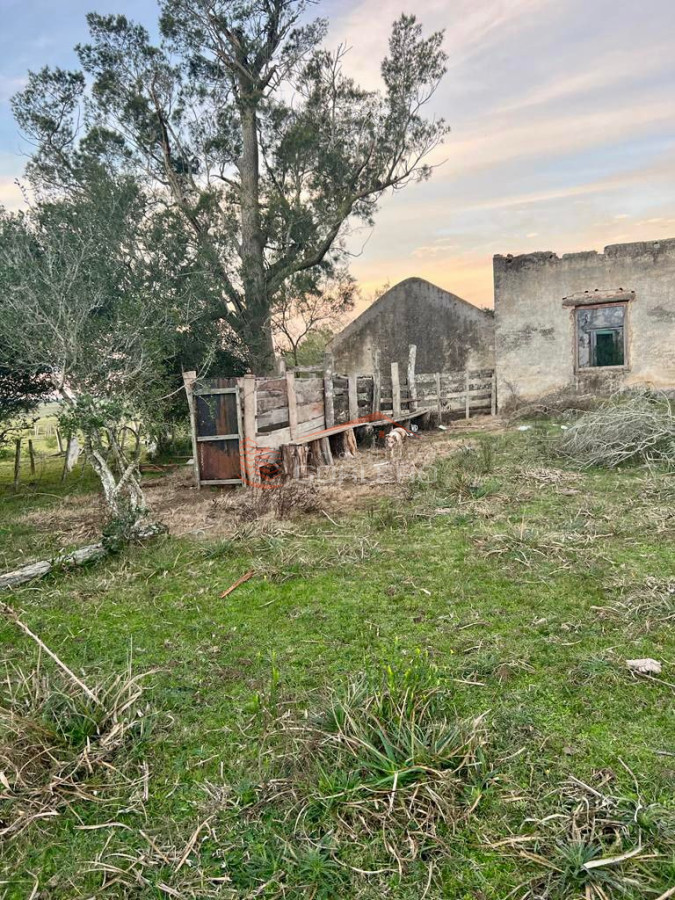 Campo a la venta en Lavalleja a pocos km de Aiguá, 137 hás - GoPunta - Portal Inmobiliario de Punta del Este - Maldonado