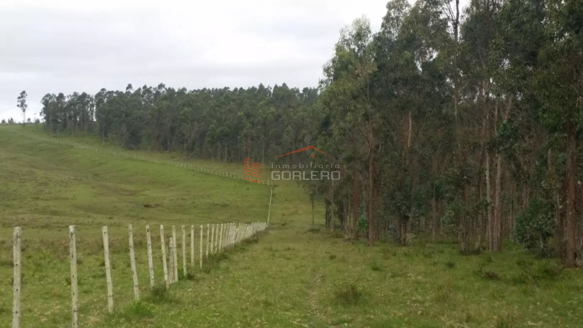 Campo en Uruguay, Rocha - GoPunta - Portal Inmobiliario de Punta del Este - Maldonado