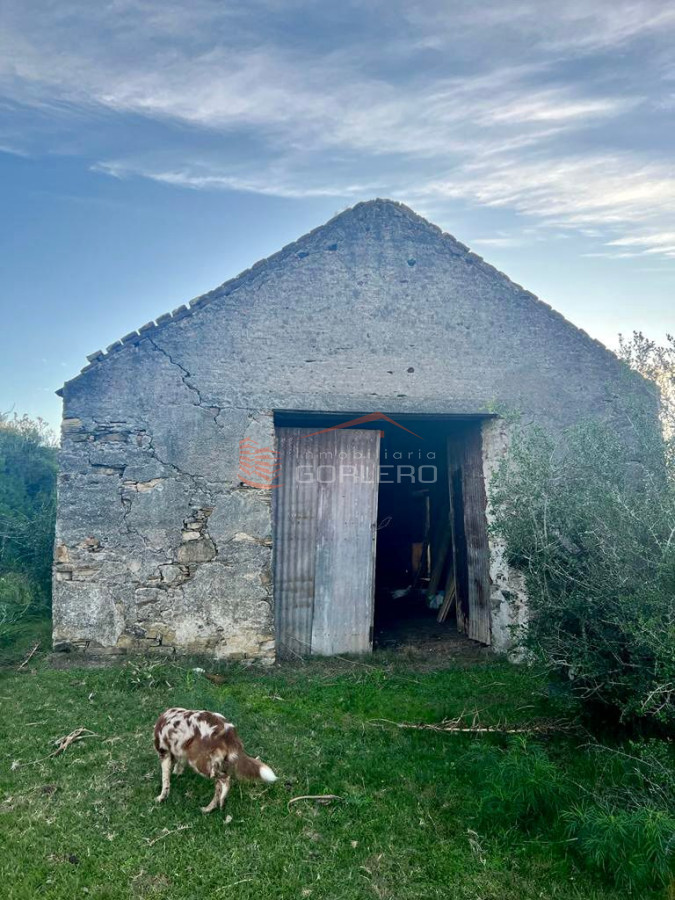 Campo a la venta en Lavalleja a pocos km de Aiguá, 137 hás - GoPunta - Portal Inmobiliario de Punta del Este - Maldonado