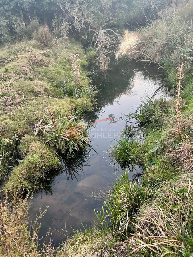 Campo a la venta en Lavalleja a pocos km de Aiguá, 137 hás - GoPunta - Portal Inmobiliario de Punta del Este - Maldonado