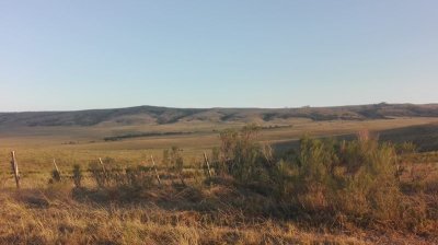 Campo 85 Has a 1 hora de Mdeo y cerca de Ruta 12, Arroyo, Monte Nativo y Vistas Increibles