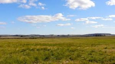 Fracción de campo con  93 has invernada próximo a  Aigua 