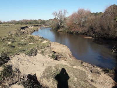 Maldonado, a 85 km , Venta de campo 91 has muy buena invernada