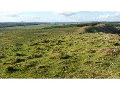Campo en Venta en  Maldonado