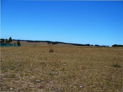 Campo en Uruguay, José Ignacio