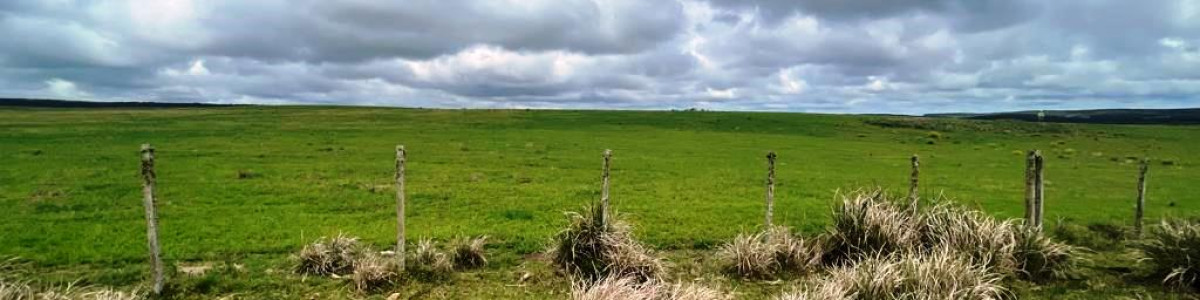 Campo Ganadero en Venta en  Lavalleja