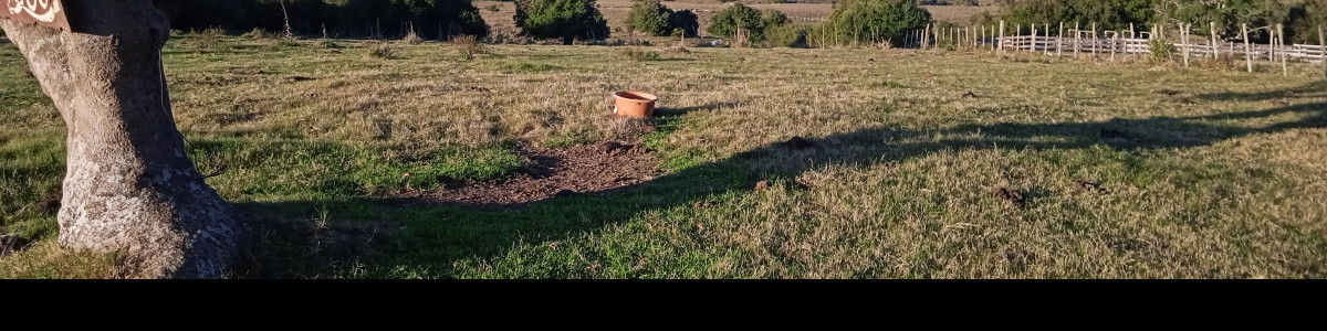 EXCELENTE OPCIÓN de Inversión!!! Campo ganadero turístico en Pueblo Edén, 37 hás