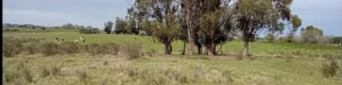 Venta de 70 has campo  en Canelones,