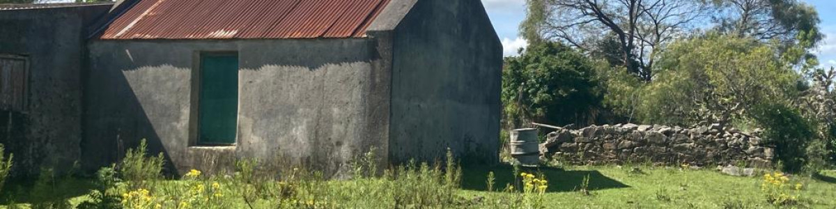 Venta de Campo en Rocha 127 has campo ganadero