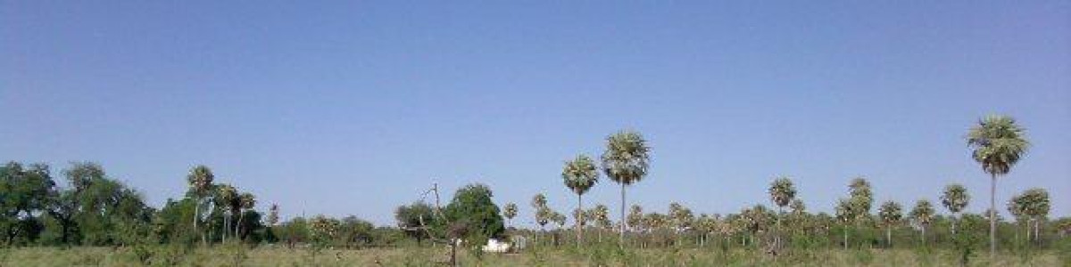 Campo en Argentina - Argentina