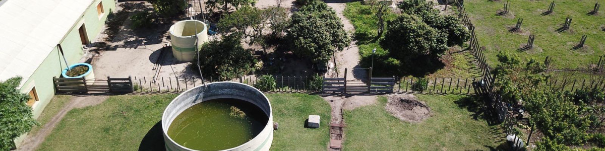 Campo en Soriano 121 has con 175 indice coneat 