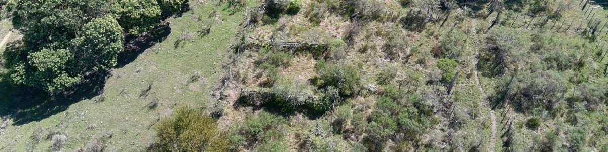 Campo sobre Ruta 9 ( doble vía ) costa arroyo, monte nativo, próximo a José Ignacio, ideal para Aras, desarrollo turístico y mas