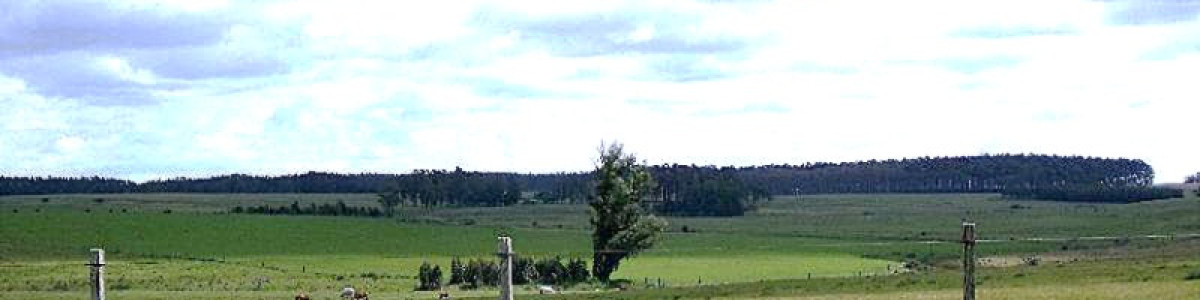 Establecimiento muy próximo a José Ignacio, casco antiguo, instalaciones de trabajo completas, acceso inmejorable