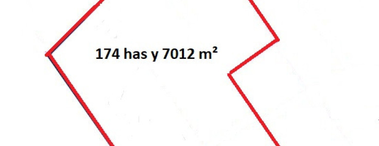 Campo ganadero en zona de Potrero Grande, La Coronilla