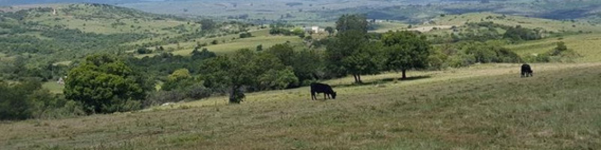 Campo en Maldonado, a 55 km de Punta del Este