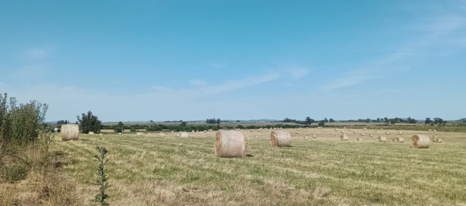 Campo de 110 has Agrícola Ganadero 
