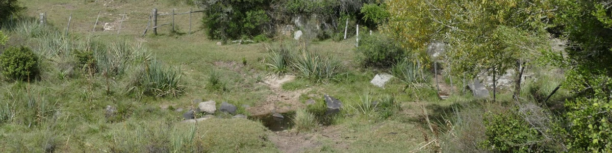 RUTA 39, a 47 km de Punta del Este, venta de  campo ganadero, muy panorámico y con cañadas.