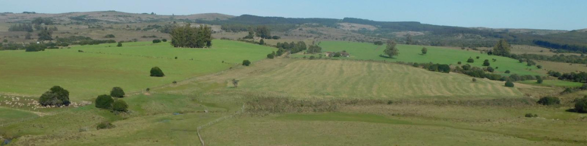 Venta de Campo en Ruta 12 próximo a Pueblo Edén 270 hás
