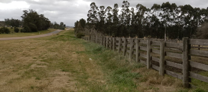 Oportunidad Chacra de 18 has a solo 20 Minutos de San Carlos 