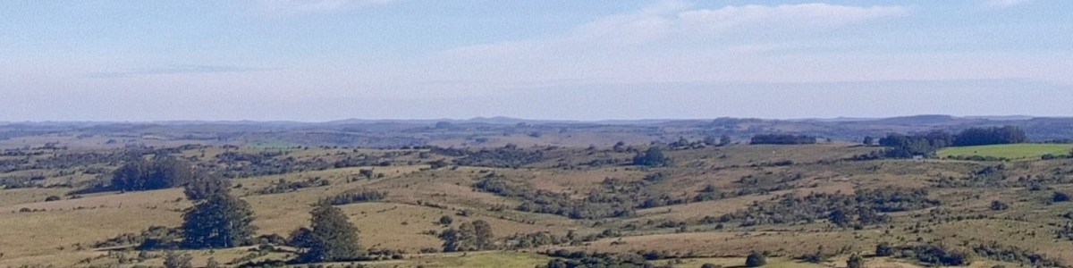 Campo de 50,5 hectáreas con costa a arrroyo