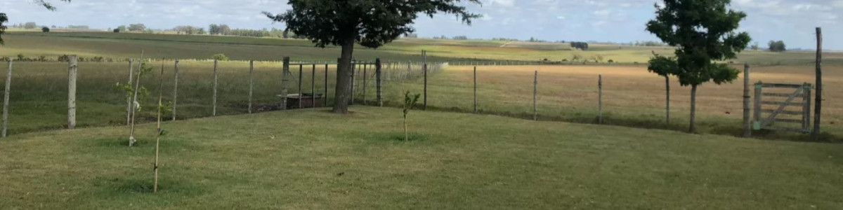 Campo  Ganadero en Florida, casi 100 hás 