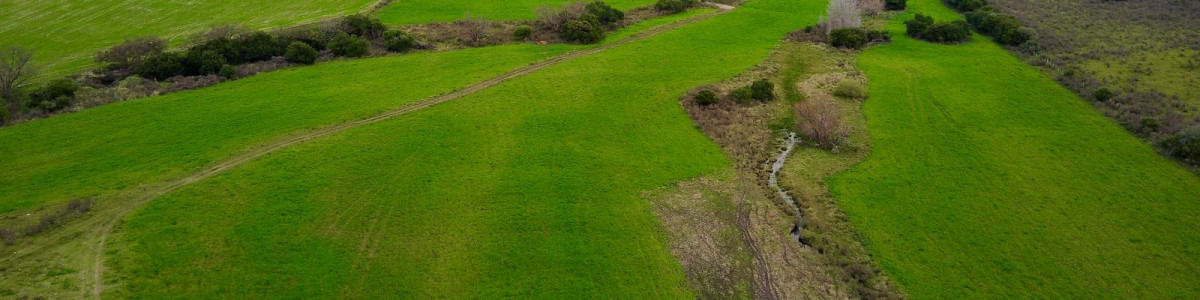 Venta de 70 has campo  en Canelones,