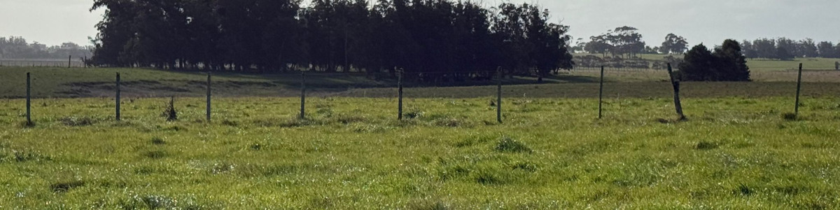 Venta de Excelente Fracción 130 has Las Garzas