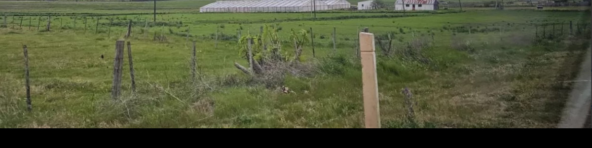 Venta de Campo Agrícola en Canelones, a 100 km de Montevideo, IC 155 con costa arroyo