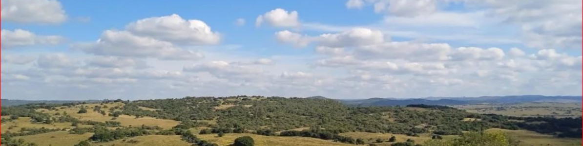 MALDONADO - Venta de campo con costa !! Zona de Aiguá 41 has