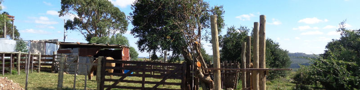 Venta de campo 25 hás a pocos km de Ruta 12, Espectacular paisaje!