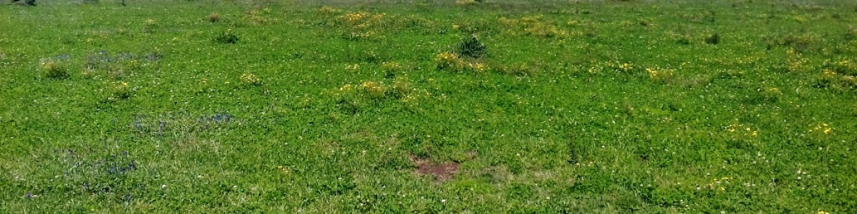 Campo en Uruguay, Maldonado, al norte de José Ignacio