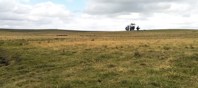 Venta de Campo en Rocha, a 10 min de La Paloma