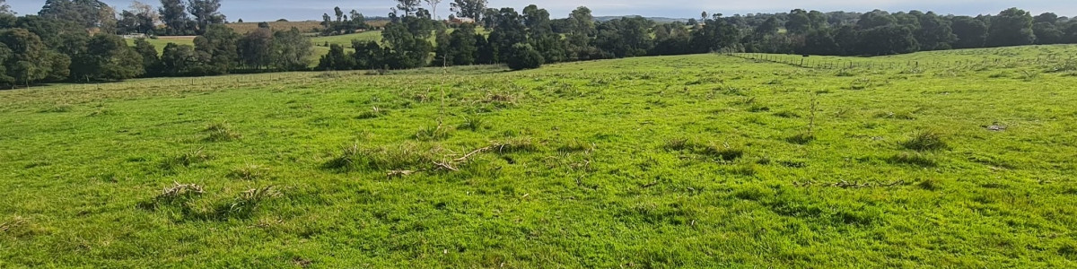 Rocha, campo con casco antiguo 400  hás