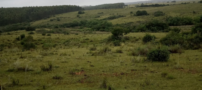 Venta de Campo en Maldonado, 104