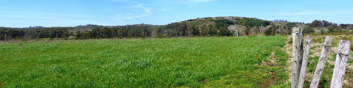 Campo en Venta en zona de Ruta 12 44 hás