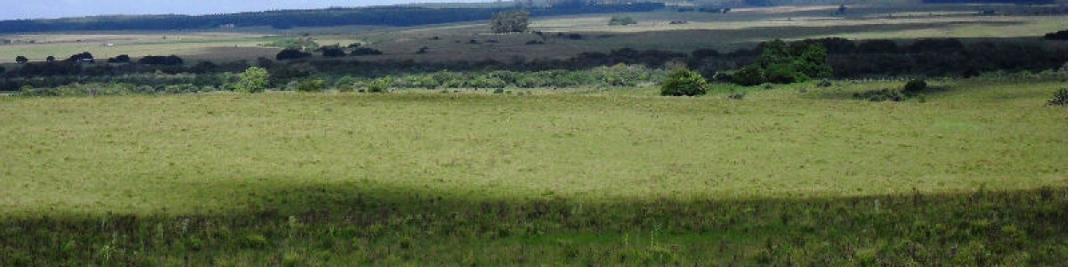 Campo en Uruguay, Garzón