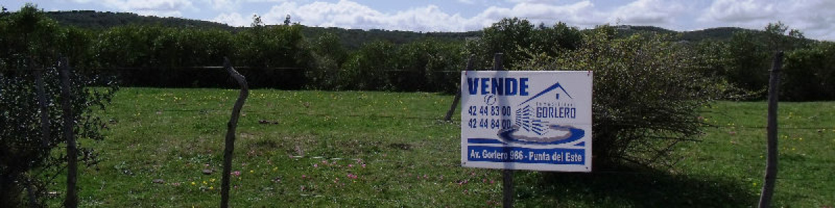 CAMPO EN URUGUAY , GARZON 