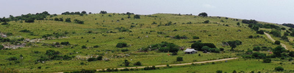 Chacra de 8 has en zona de Garzón
