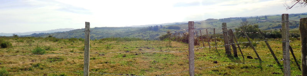 RUTA 12, a pocos kms por buen camino. Fraccion de 36 hás con espectacular vista, muy panoramica. Ideal fraccionamiento, o similar. 