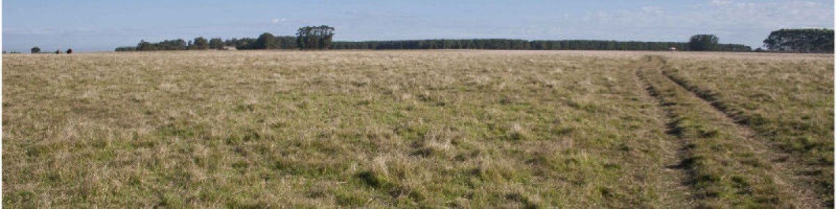 Excelente fracción a la venta con gran potencial!!!! a pocos km de José Ignacio sobre  la Ruta 