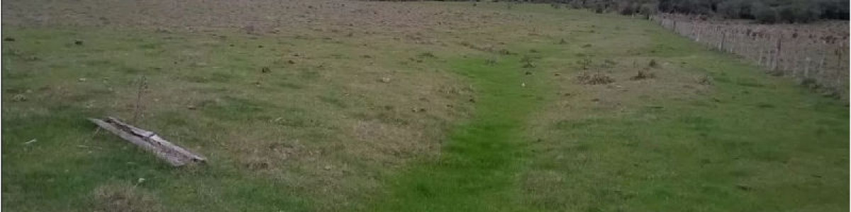 Campo en Venta en  Maldonado
