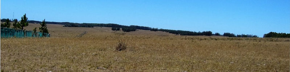 Campo en Uruguay, José Ignacio