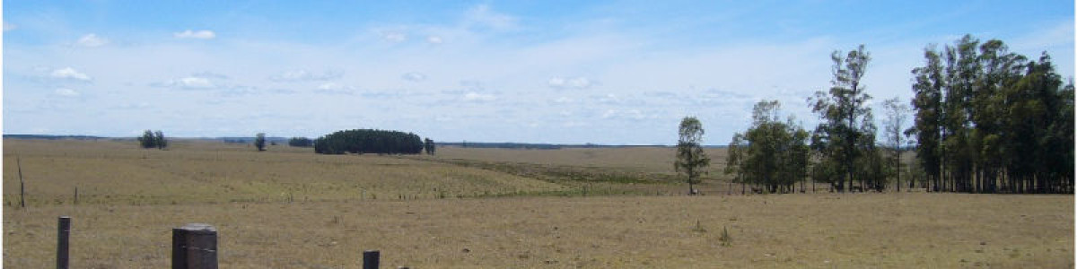 Campo en Uruguay, José Ignacio