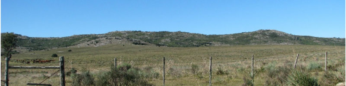 Campo en Venta en  Maldonado