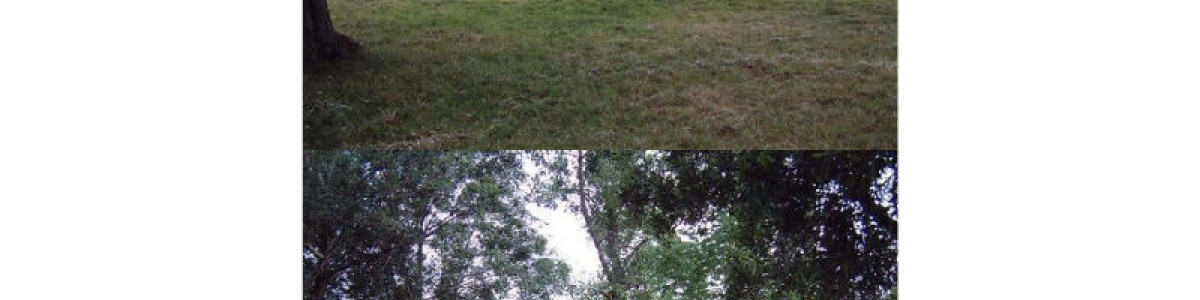 Campo en Venta en Rocha