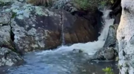 Campo en Lavalleja, zona Campanero, 30 has con cañadas permanente