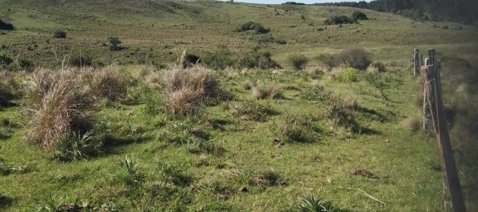 Rocha, campo ganadero con 78 has