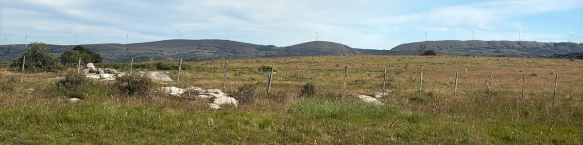 Maldonado, a poca distancia  de San Carlos con costa Arroyo 37 hás