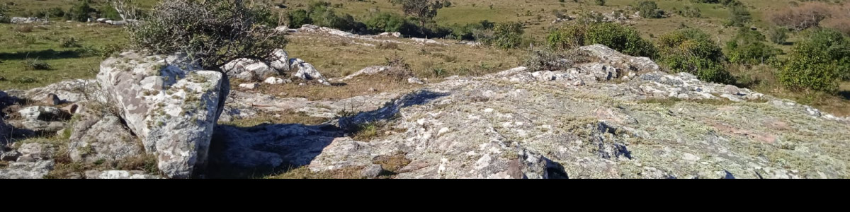 Venta de campo 25 hás a pocos km de Ruta 12, Espectacular paisaje!